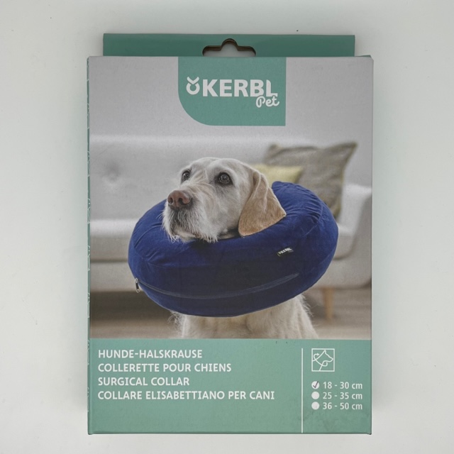 Collerette pour chien gonflable