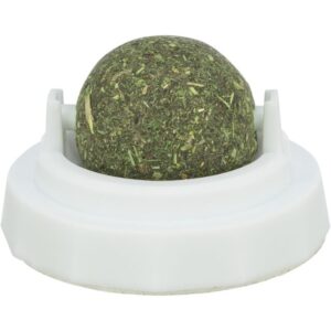 Balle d'herbe Ă chat avec support