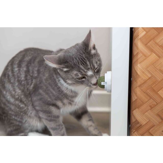 Balle d'herbe à chat avec support – Image 2