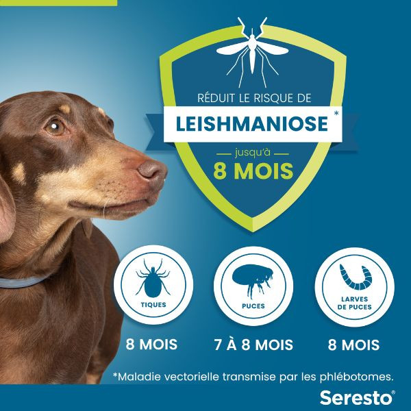 Collier Seresto chien moins de 8kg – Image 2