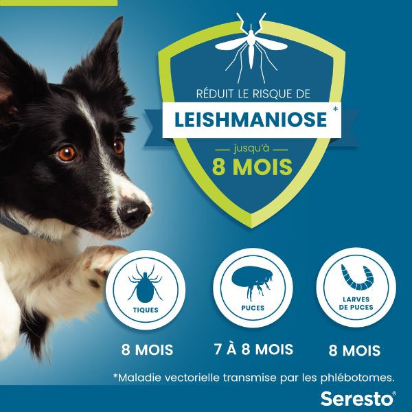 Collier Seresto chien plus de 8kg – Image 2
