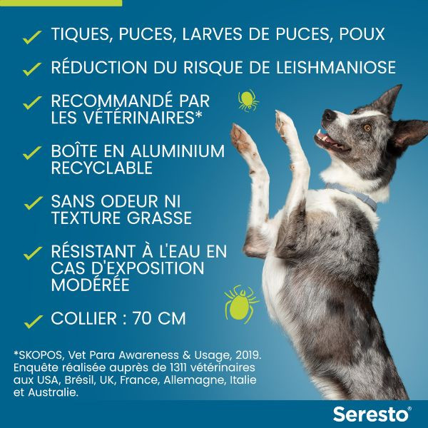 Collier Seresto chien plus de 8kg – Image 3
