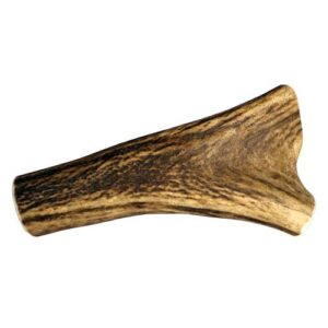 Bois de cerf entier