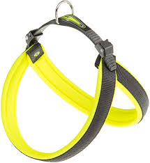 Harnais FERPLAST Agila jaune M