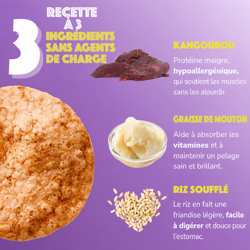 Chips allégées pour chien Smoofl au kangourou 50g – Image 4